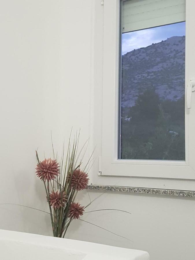 فندق Vila Velvet ستاريغغاد باكلينتسا المظهر الخارجي الصورة